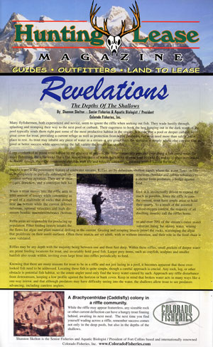 Hunting Lease Magazine - Revelations: The Depths of the Shallows
