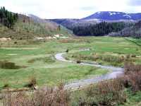 Fisheries Development and Management - Routt County, Colorado
